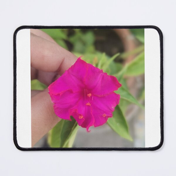 Item preview, The pink flower with the flouless beauty  designed and sold by TruptiLokhande7.