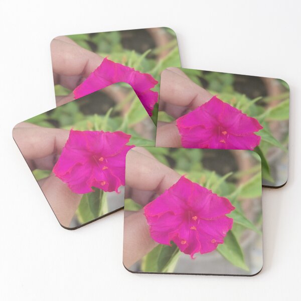 Item preview, The pink flower with the flouless beauty  designed and sold by TruptiLokhande7.