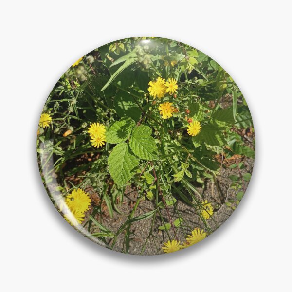 Item preview, Yellow Wildflowers Along Path designed and sold by PhuongVoArt.