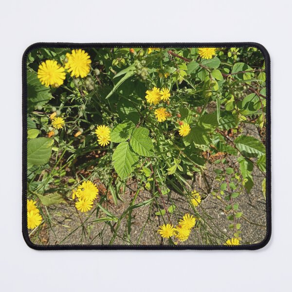 Item preview, Yellow Wildflowers Along Path designed and sold by PhuongVoArt.