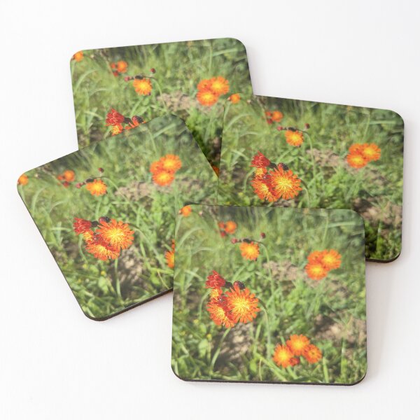 Item preview, Orange Hawkweed Wildflower Bloom designed and sold by PhuongVoArt.