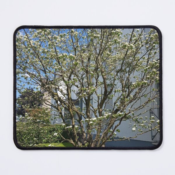 Item preview, White Dogwood Tree Blossom designed and sold by PhuongVoArt.
