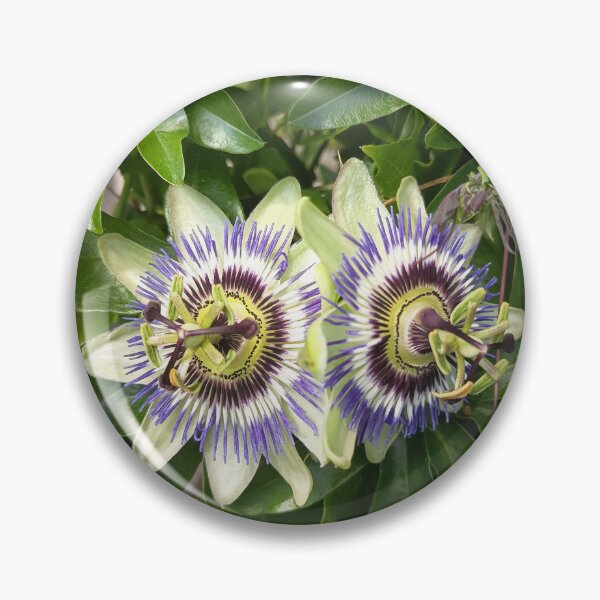 Item preview, Passion Flower Twin Blooms designed and sold by PhuongVoArt.