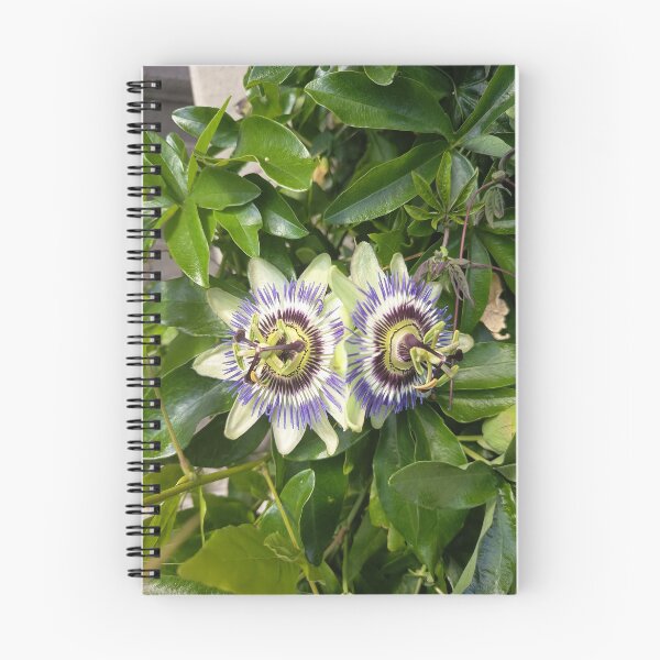 Item preview, Passion Flower Twin Blooms designed and sold by PhuongVoArt.