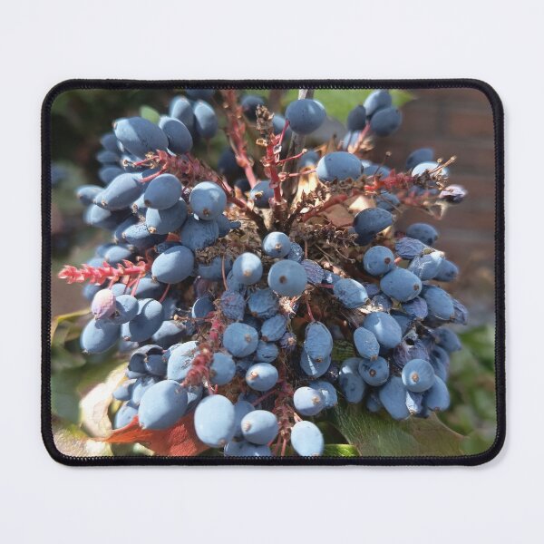 Item preview, Blue Mahonia Berries Closeup designed and sold by PhuongVoArt.
