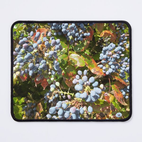 Item preview, Blue Mahonia Berry Clusters designed and sold by PhuongVoArt.