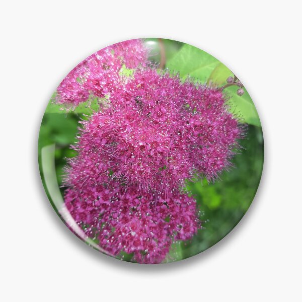 Item preview, Pink Spirea Flower Cluster designed and sold by PhuongVoArt.