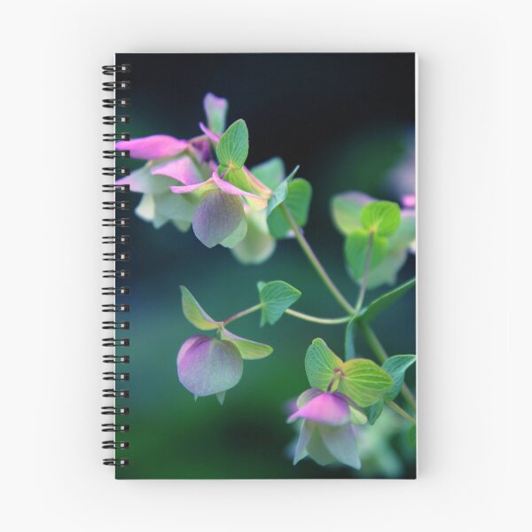 Item preview, Kent Beauty Ornamental Oregano designed and sold by Jessica Jenney.