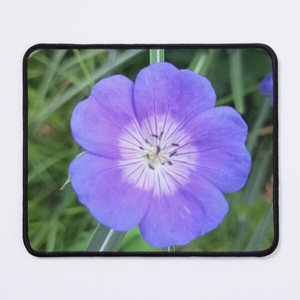 Item preview, Purple Geranium Flower Closeup designed and sold by PhuongVoArt.