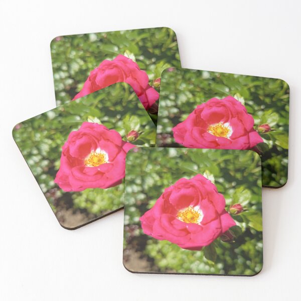 Item preview, Pink Rose Blossom Closeup designed and sold by PhuongVoArt.