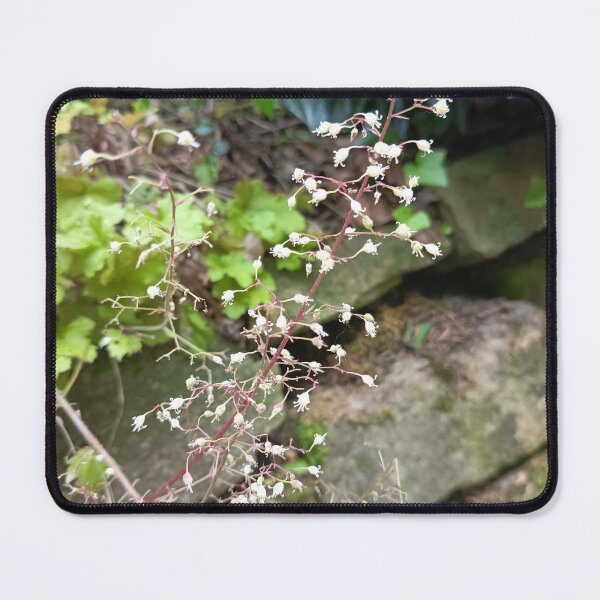 Item preview, Delicate White Heuchera Flowers designed and sold by PhuongVoArt.