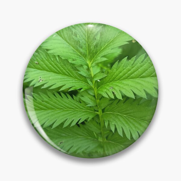 Item preview, Fern Like Green Foliage designed and sold by PhuongVoArt.