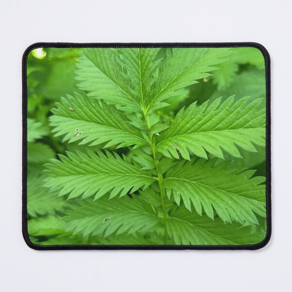Item preview, Fern Like Green Foliage designed and sold by PhuongVoArt.