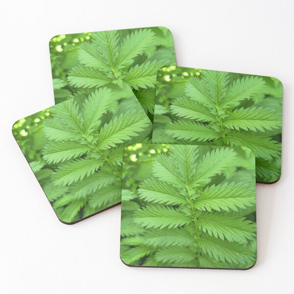 Item preview, Fern Like Green Foliage designed and sold by PhuongVoArt.