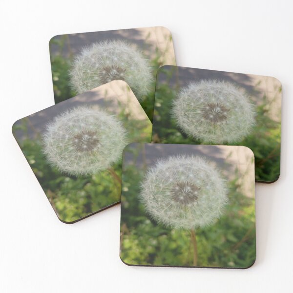 Item preview, Dandelion Seed Head Closeup designed and sold by PhuongVoArt.