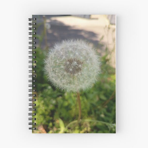 Item preview, Dandelion Seed Head Closeup designed and sold by PhuongVoArt.
