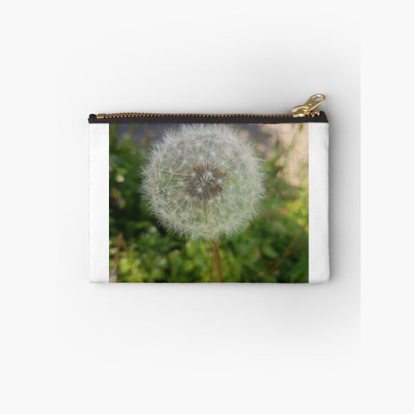 Item preview, Dandelion Seed Head Closeup designed and sold by PhuongVoArt.