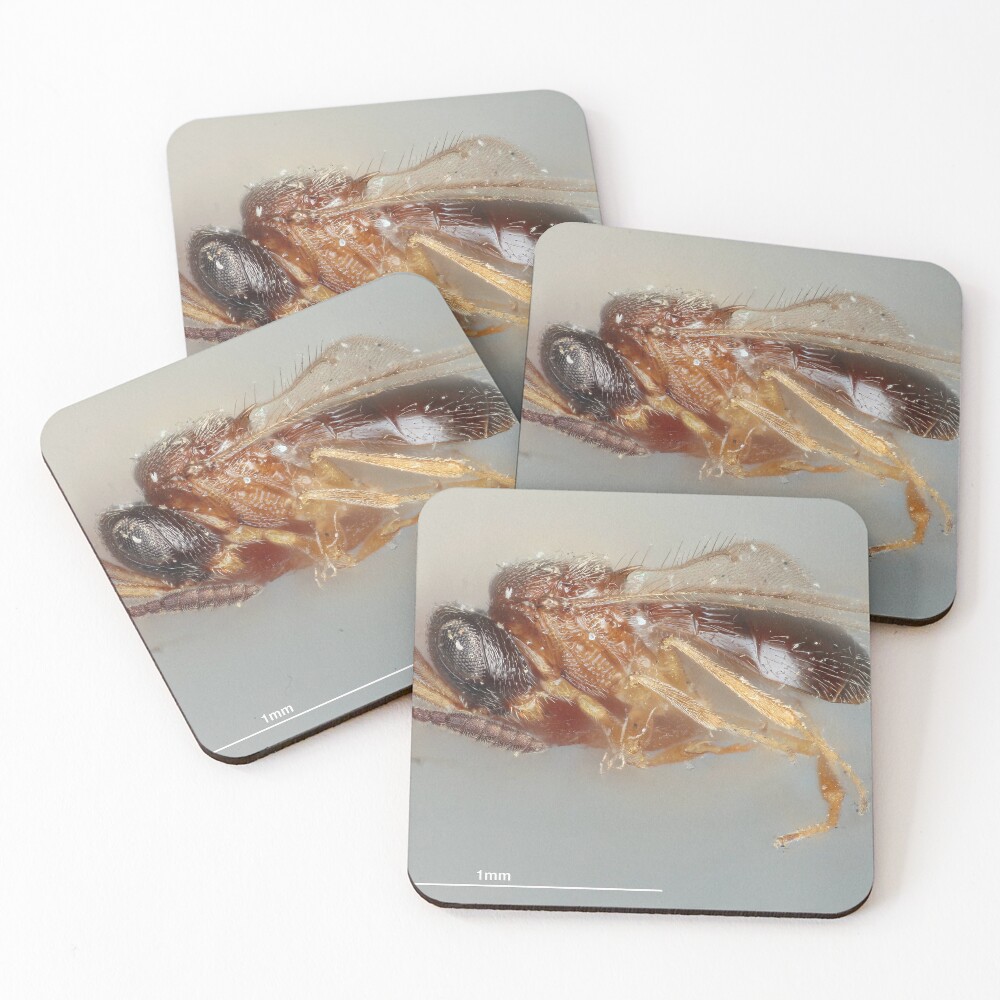 Item preview, Coasters (Set of 4) designed and sold by GammaRay.
