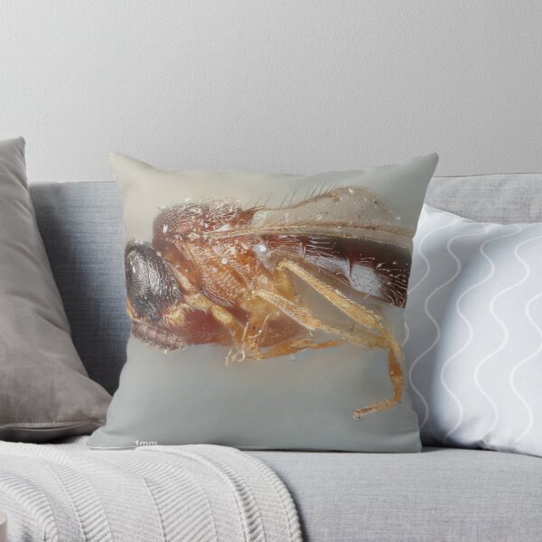 Item preview, Spiny Insect Drawing | Insect Art designed and sold by GammaRay.