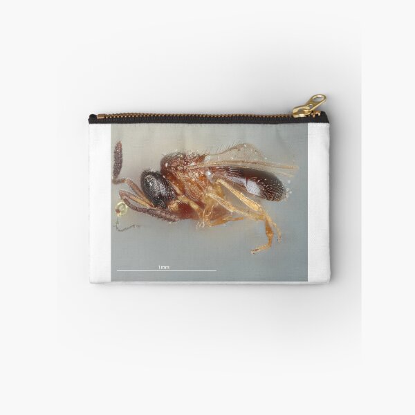 Item preview, Spiny Insect Drawing | Insect Art designed and sold by GammaRay.