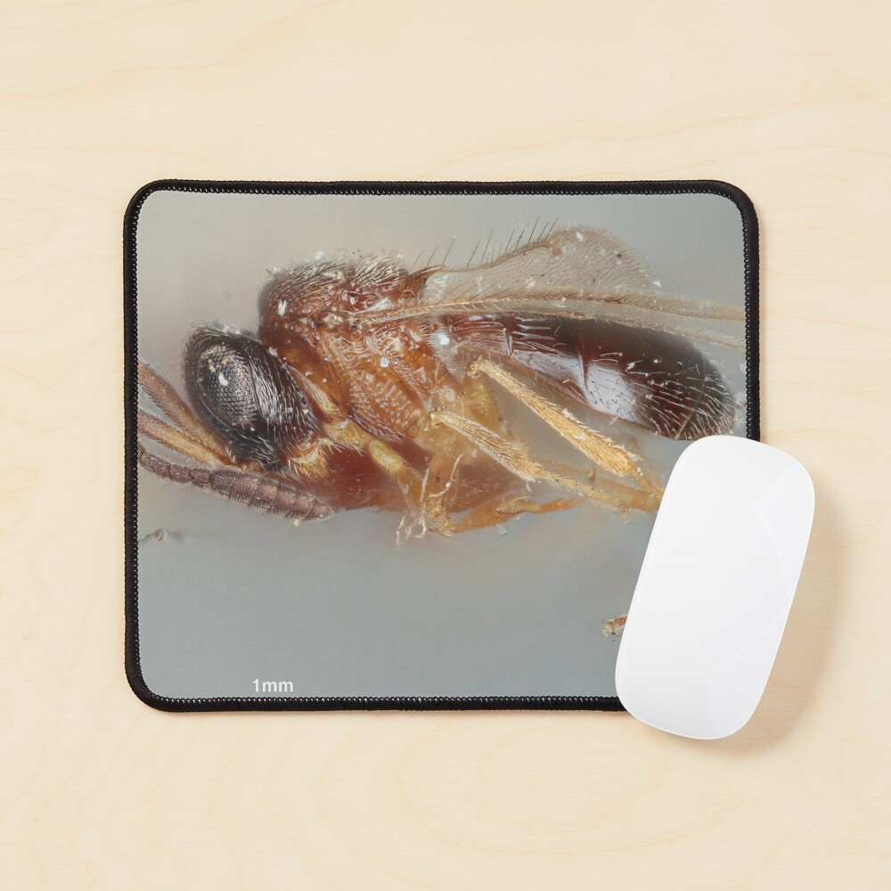 Item preview, Mouse Pad designed and sold by GammaRay.
