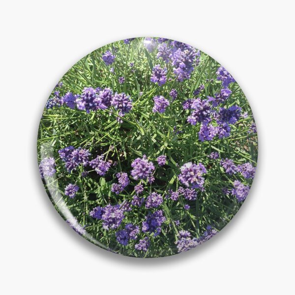 Artikelvorschau, Lavender Blossoms In Bloom entworfen und verkauft von PhuongVoArt.