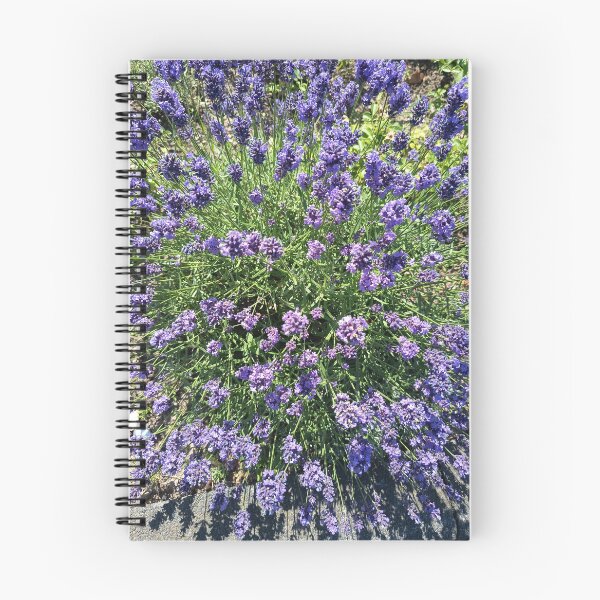 Item preview, Lavender Blossoms In Bloom designed and sold by PhuongVoArt.