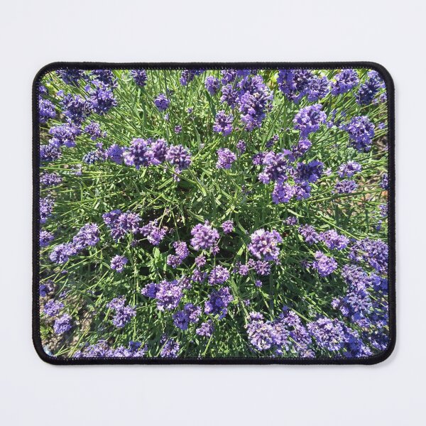 Item preview, Lavender Blossoms In Bloom designed and sold by PhuongVoArt.