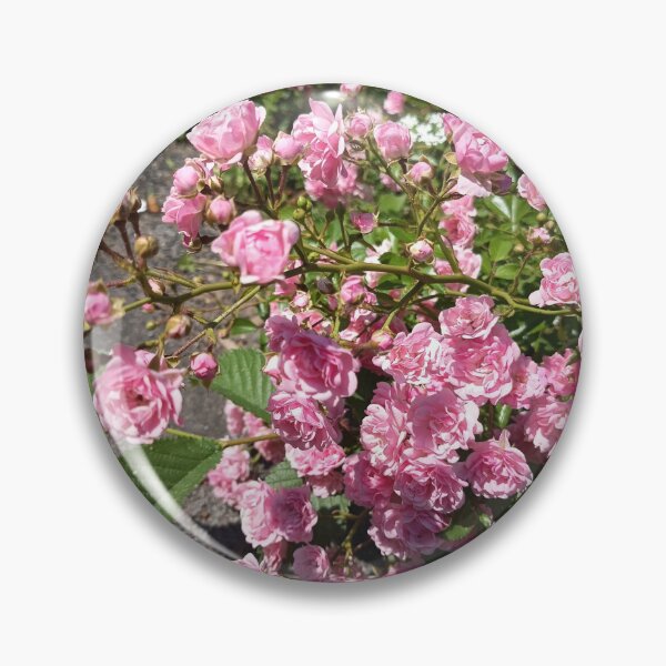 Item preview, Pink Climbing Rose Blossoms designed and sold by PhuongVoArt.