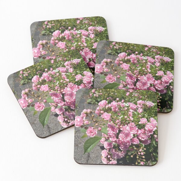 Artikelvorschau, Pink Climbing Rose Blossoms entworfen und verkauft von PhuongVoArt.