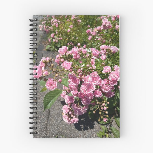 Item preview, Pink Climbing Rose Blossoms designed and sold by PhuongVoArt.