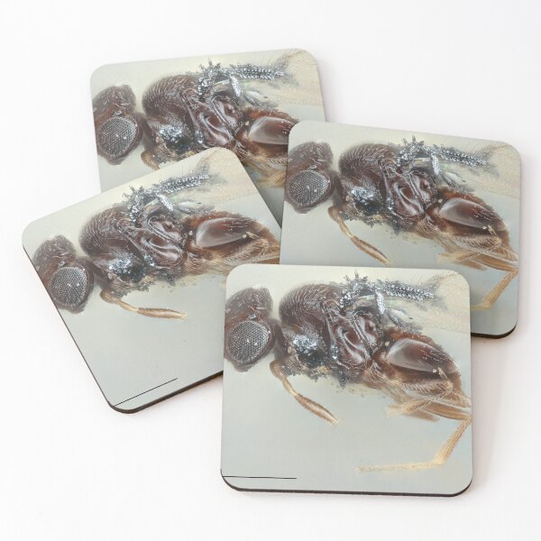 Item preview, Wasp Portrait Drawing | Insect Art designed and sold by GammaRay.