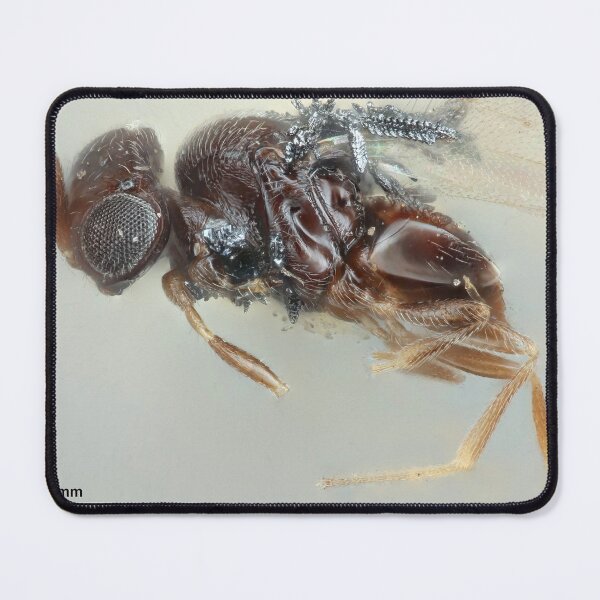 Item preview, Wasp Portrait Drawing | Insect Art designed and sold by GammaRay.