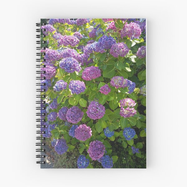 Item preview, Purple Blue Hydrangea Blooms designed and sold by PhuongVoArt.