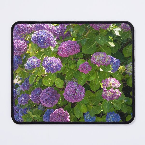 Item preview, Purple Blue Hydrangea Blooms designed and sold by PhuongVoArt.