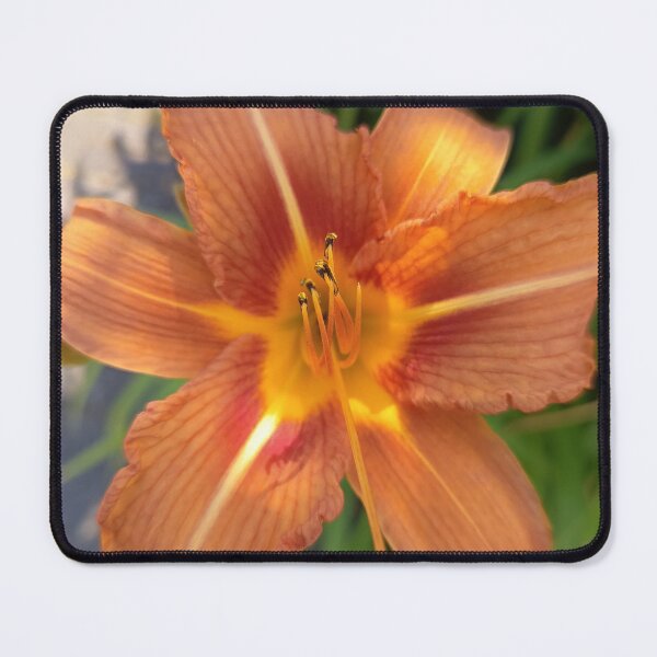 Item preview, Orange Daily Summer Bloom designed and sold by PhuongVoArt.