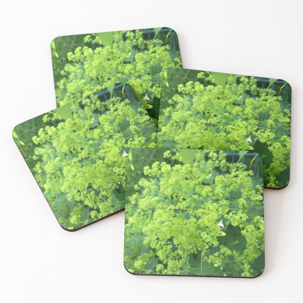 Item preview, Lady's Mantle Lime Blossoms designed and sold by PhuongVoArt.