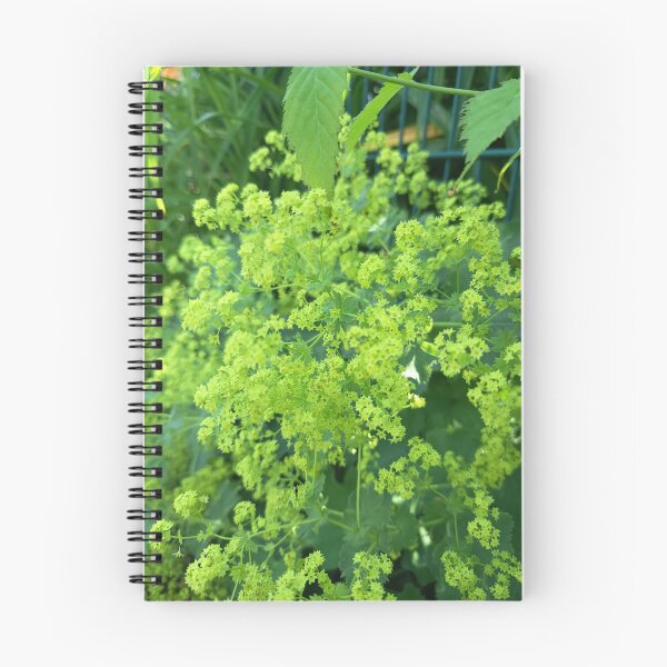 Item preview, Lady's Mantle Lime Blossoms designed and sold by PhuongVoArt.