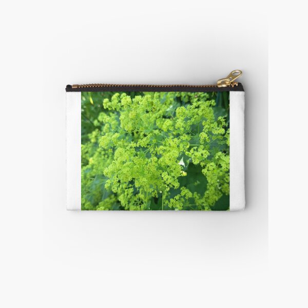 Item preview, Lady's Mantle Lime Blossoms designed and sold by PhuongVoArt.