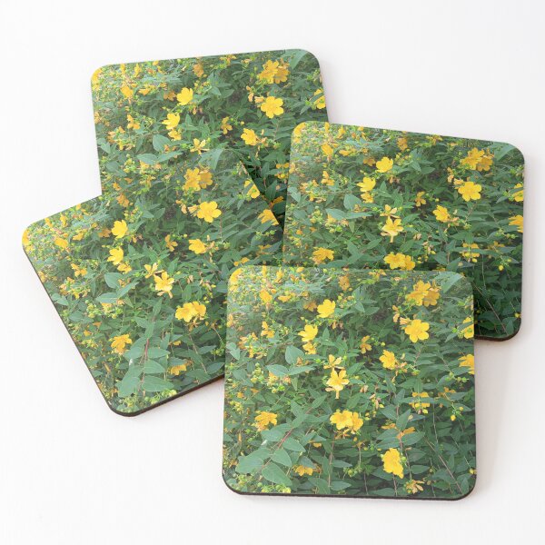 Item preview, Yellow St John's Wort Blossoms designed and sold by PhuongVoArt.