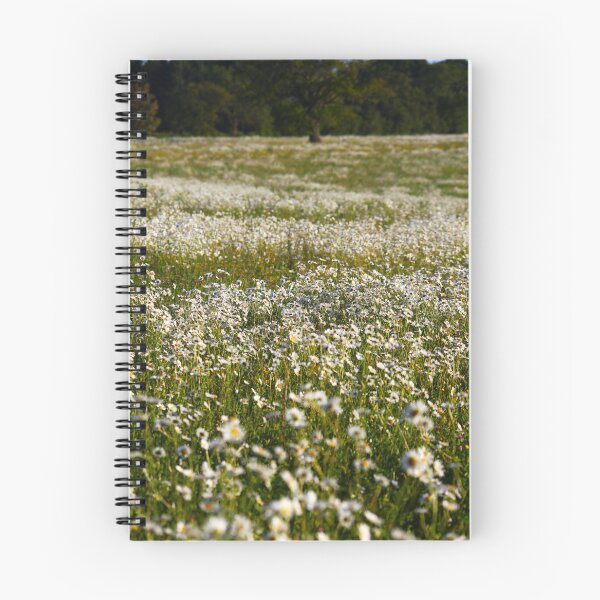 Item preview, Field Daises  designed and sold by Murph's Images.