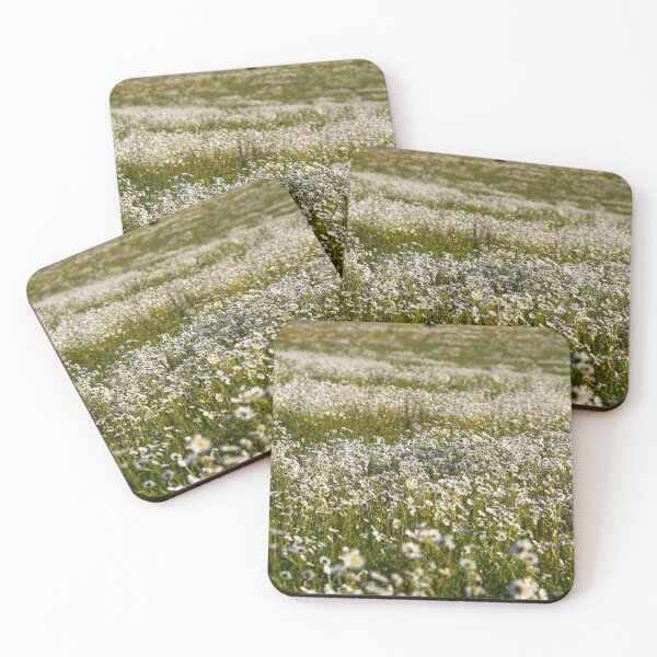 Item preview, Field Daises  designed and sold by Murph's Images.