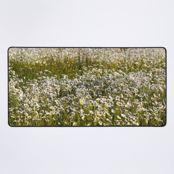 Item preview, Field Daises designed and sold by Murph's Images.
