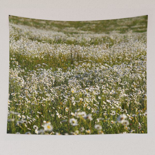 Item preview, Field Daises  designed and sold by Murph's Images.