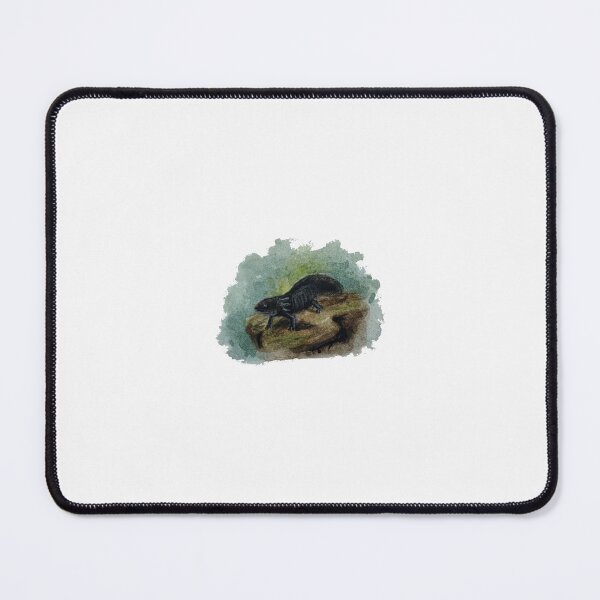 Item preview, Axolotl Watercolor (original hand painted) designed and sold by artpadanna.