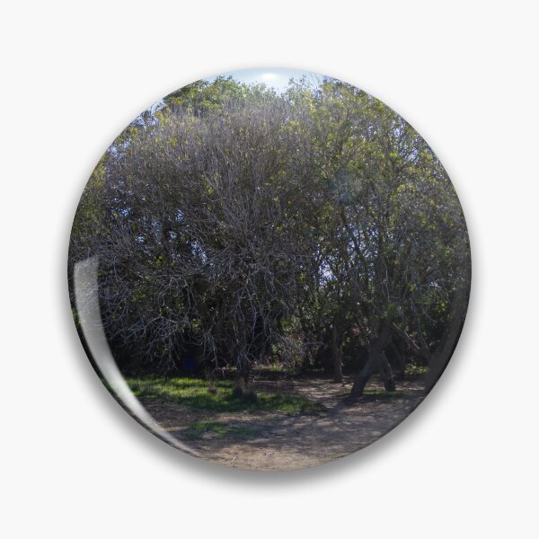 Item preview, Sunny Woodland Grove With Shaded Dirt Path and Low Shrubs in Countryside designed and sold by Nmallia.