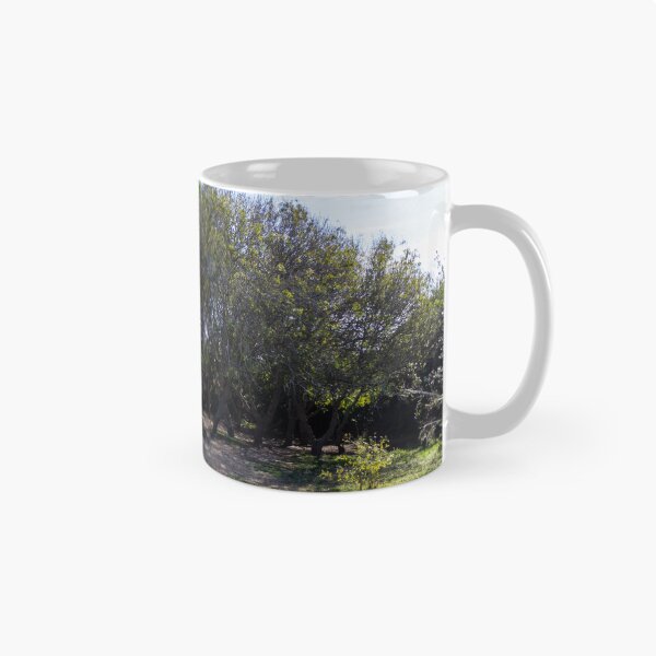 Item preview, Sunny Woodland Grove With Shaded Dirt Path and Low Shrubs in Countryside designed and sold by Nmallia.