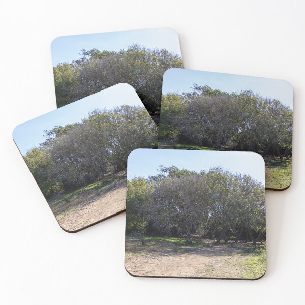 Item preview, Sunny Woodland Grove With Shaded Dirt Path and Low Shrubs in Countryside designed and sold by Nmallia.