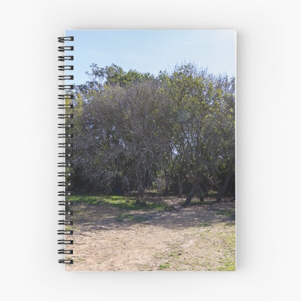 Item preview, Sunny Woodland Grove With Shaded Dirt Path and Low Shrubs in Countryside designed and sold by Nmallia.