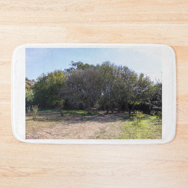 Item preview, Sunny Woodland Grove With Shaded Dirt Path and Low Shrubs in Countryside designed and sold by Nmallia.